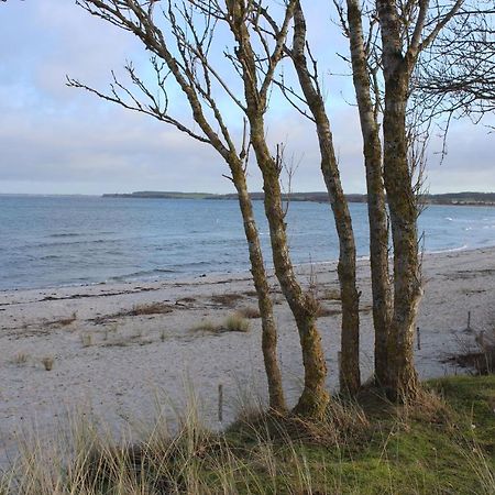 Kleine Landliebe Leilighet Hohwacht Eksteriør bilde