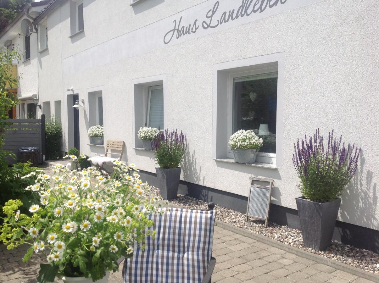 Kleine Landliebe Leilighet Hohwacht Eksteriør bilde